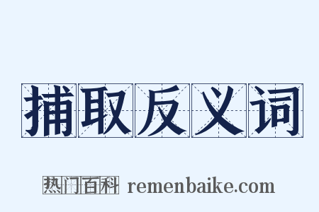 捕取反义词是什么意思的图片